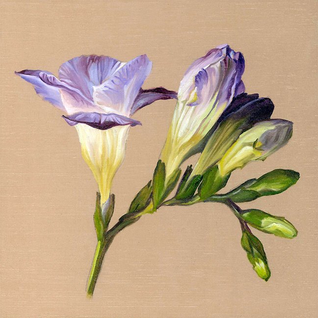 Freesia 1 Oil Painting Print