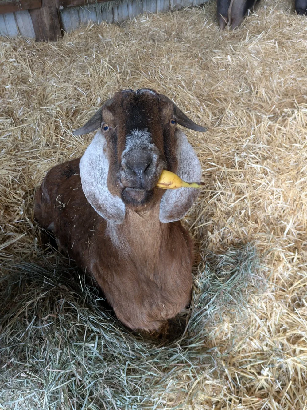 lighthouse6.jpg (Copy) (Copy)