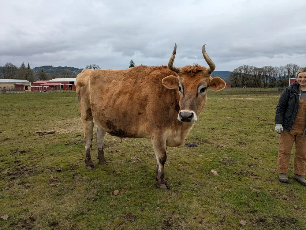 lighthouse7.jpg (Copy) (Copy)