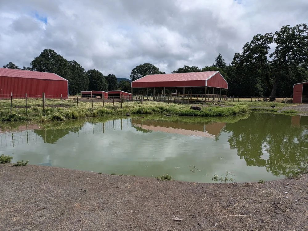 lighthouse8.jpg (Copy) (Copy)