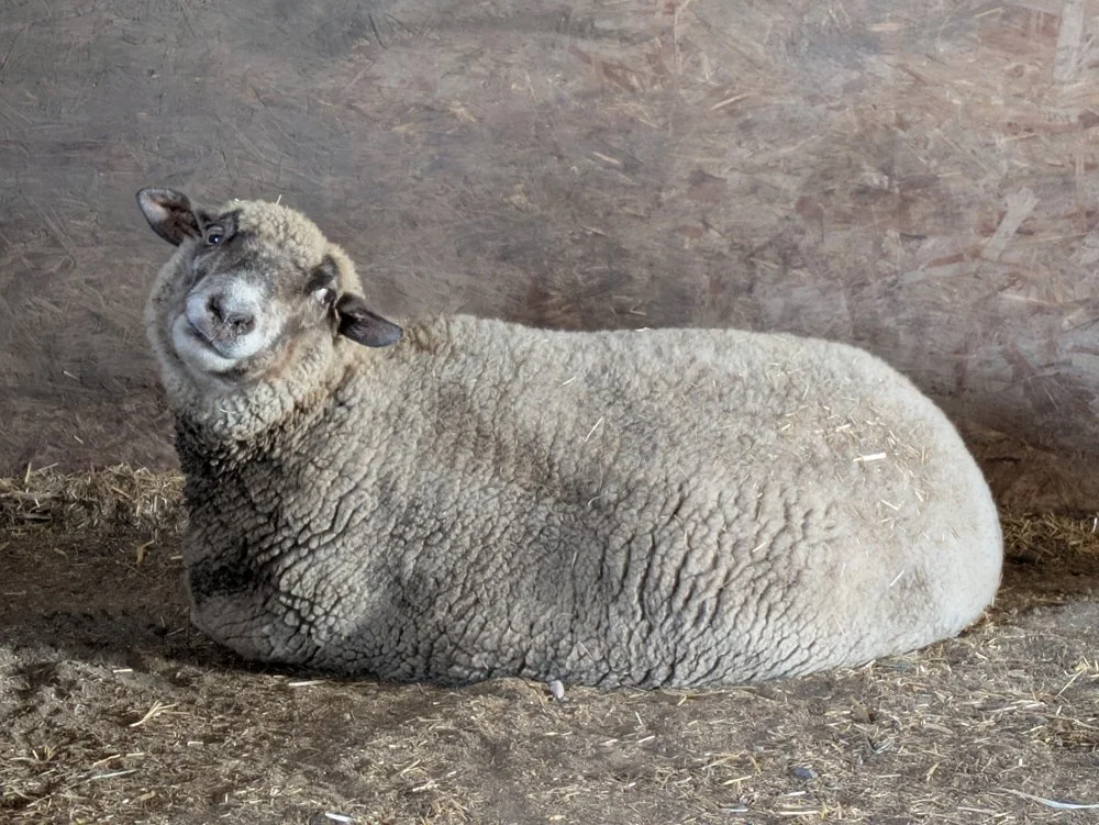 lighthouse10.jpg (Copy) (Copy)