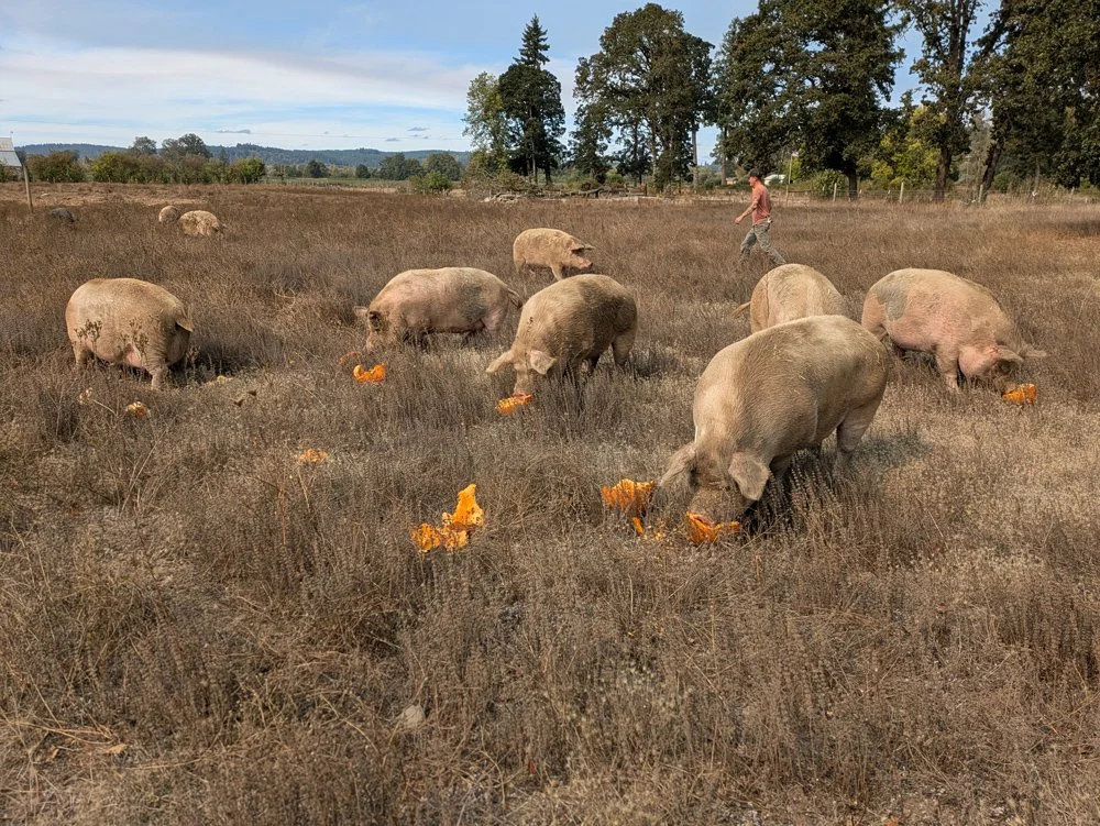 lighthouse11.jpg (Copy) (Copy)