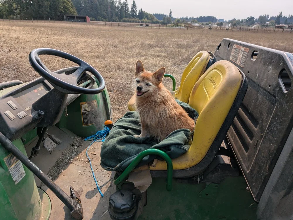 lighthouseJefe.jpg (Copy) (Copy)