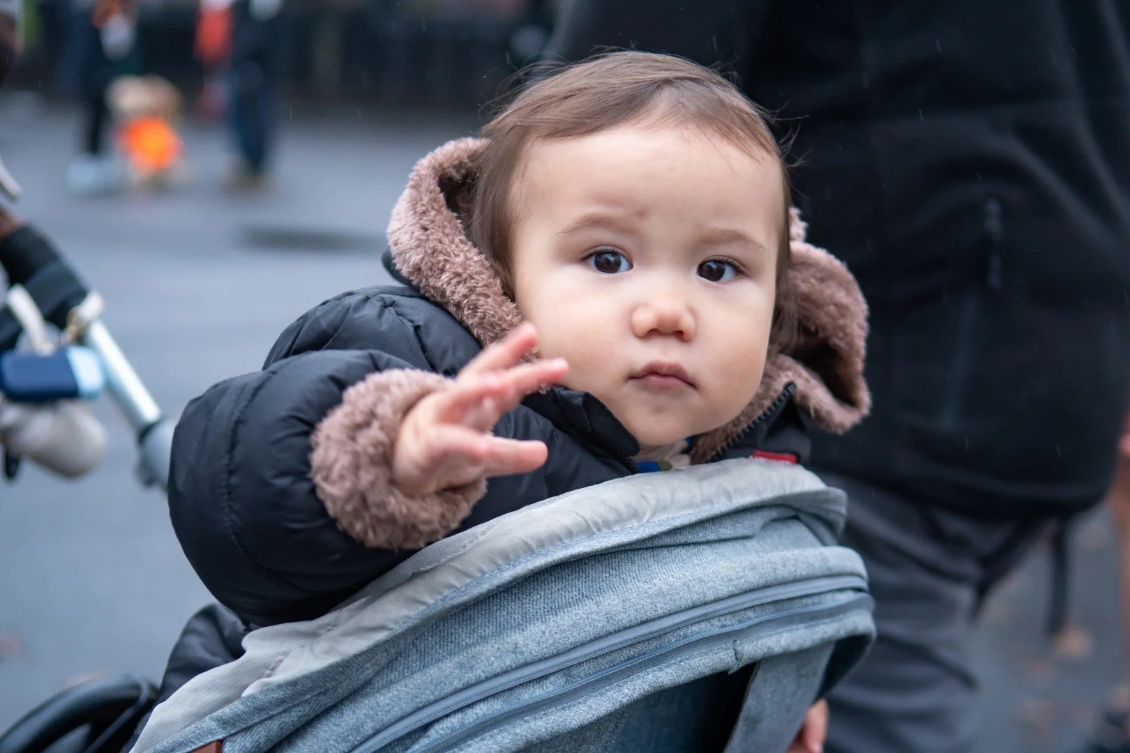 Tofurky Trot 2025-3720 (Large).jpg