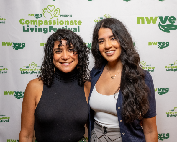 DSC04100 (Small).png