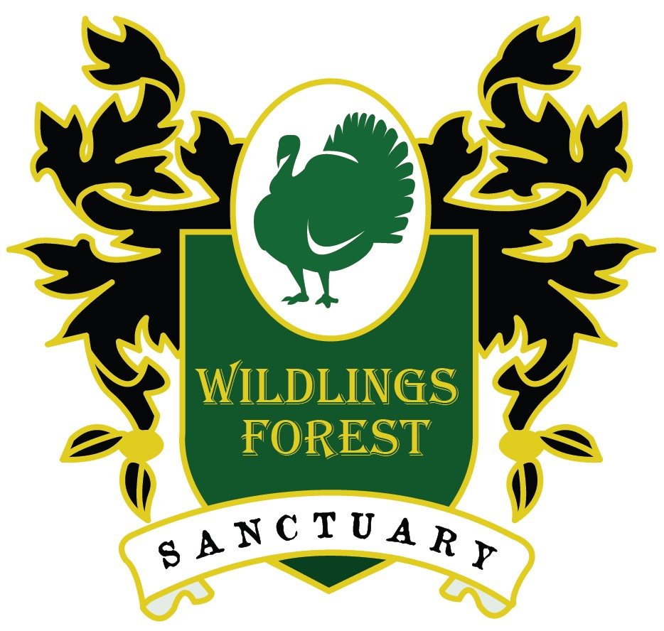 Wildlings Forest Sanctuary.png