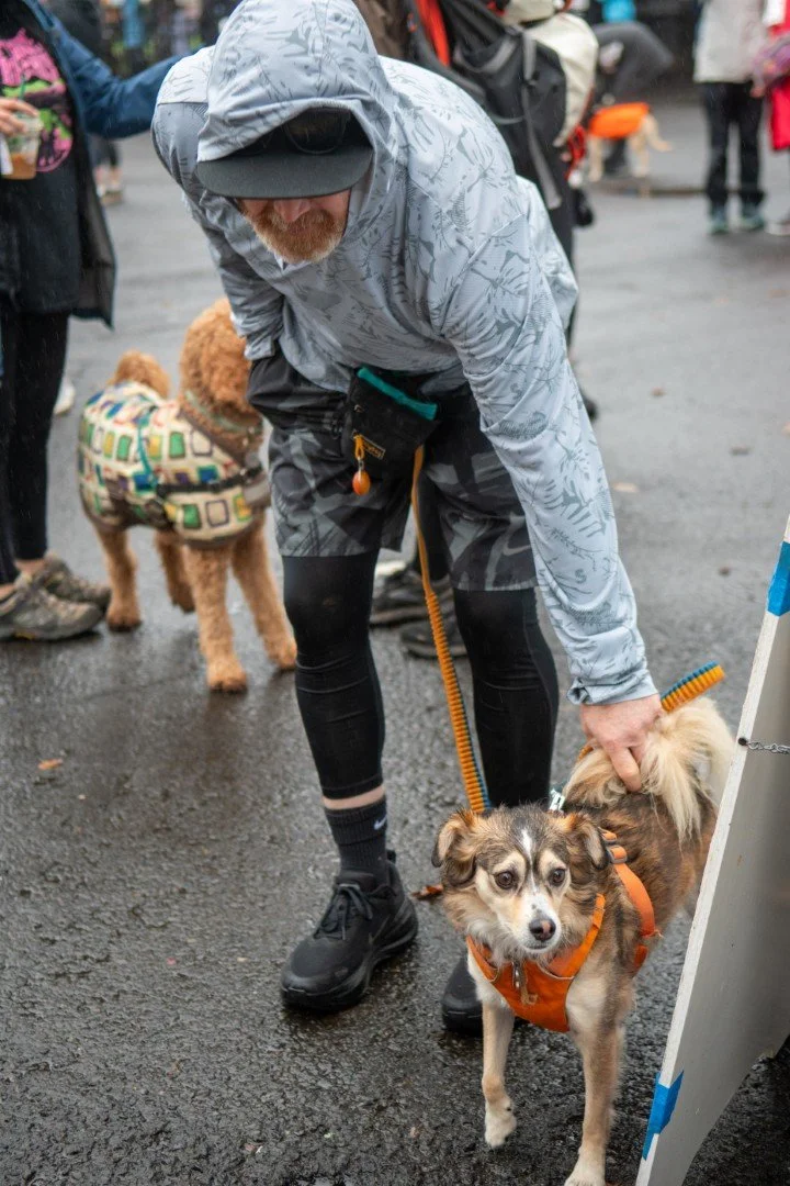 Tofurky Trot 2025-3762 (Large).jpg