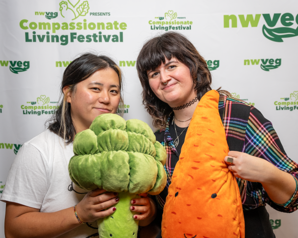 DSC04140 (Small).png