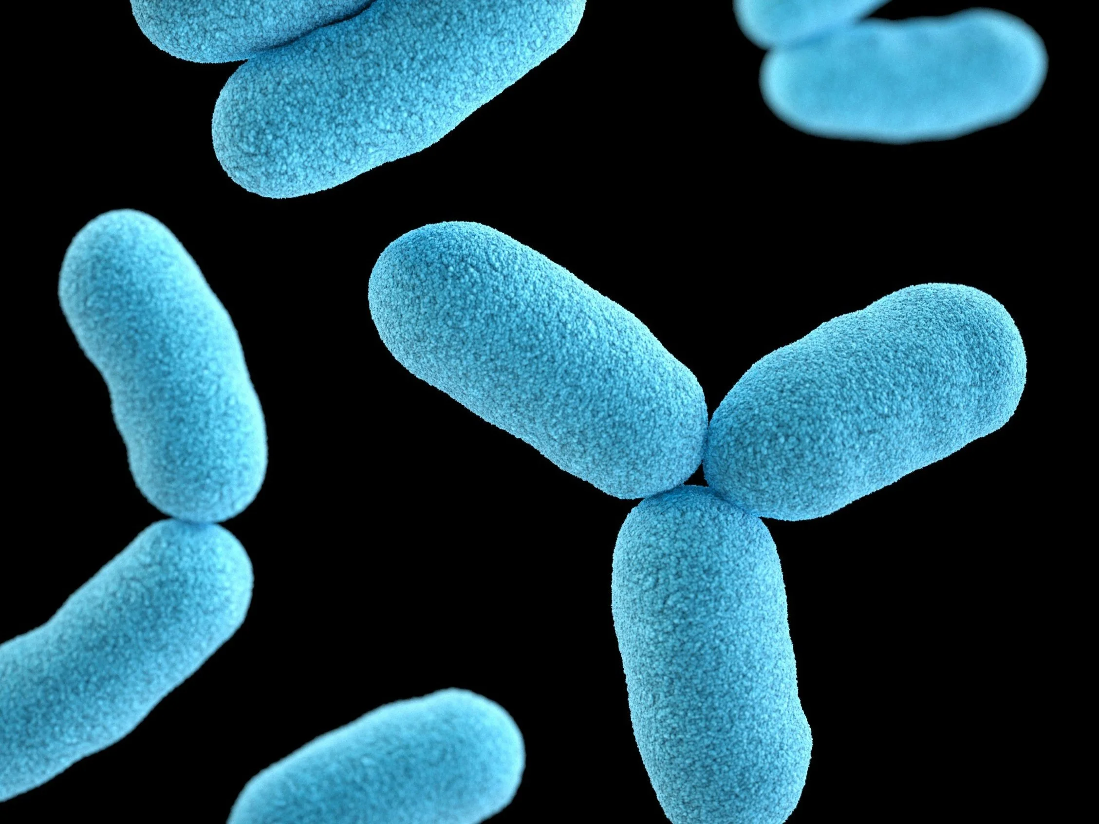 How Pathogens Hide Other Pathogens—And How Cellular Release Healing Unmasks Them