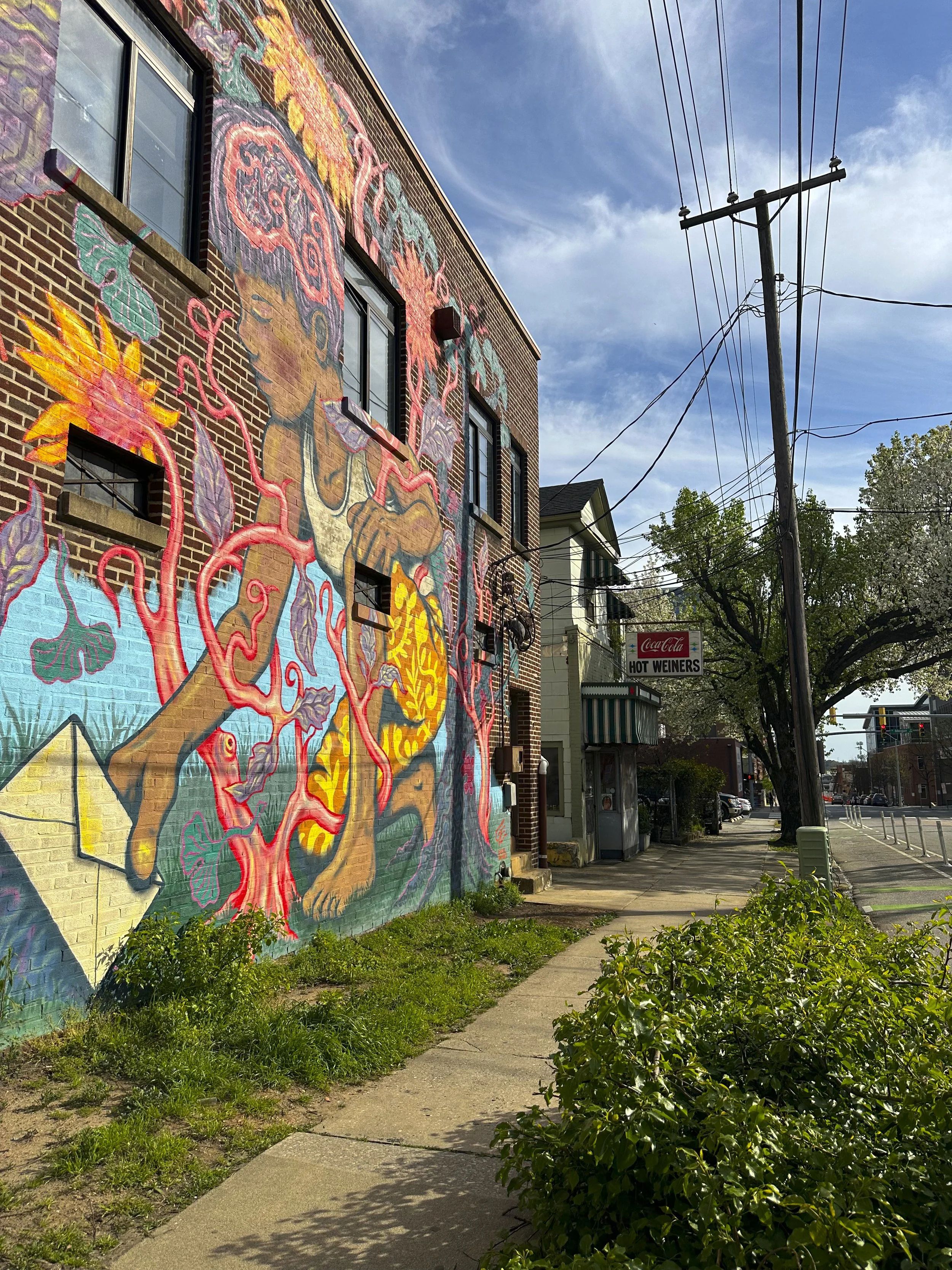 Free Public Art Scenes in Raleigh! 