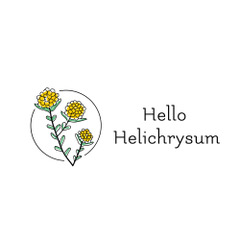 Hello Helichrysum