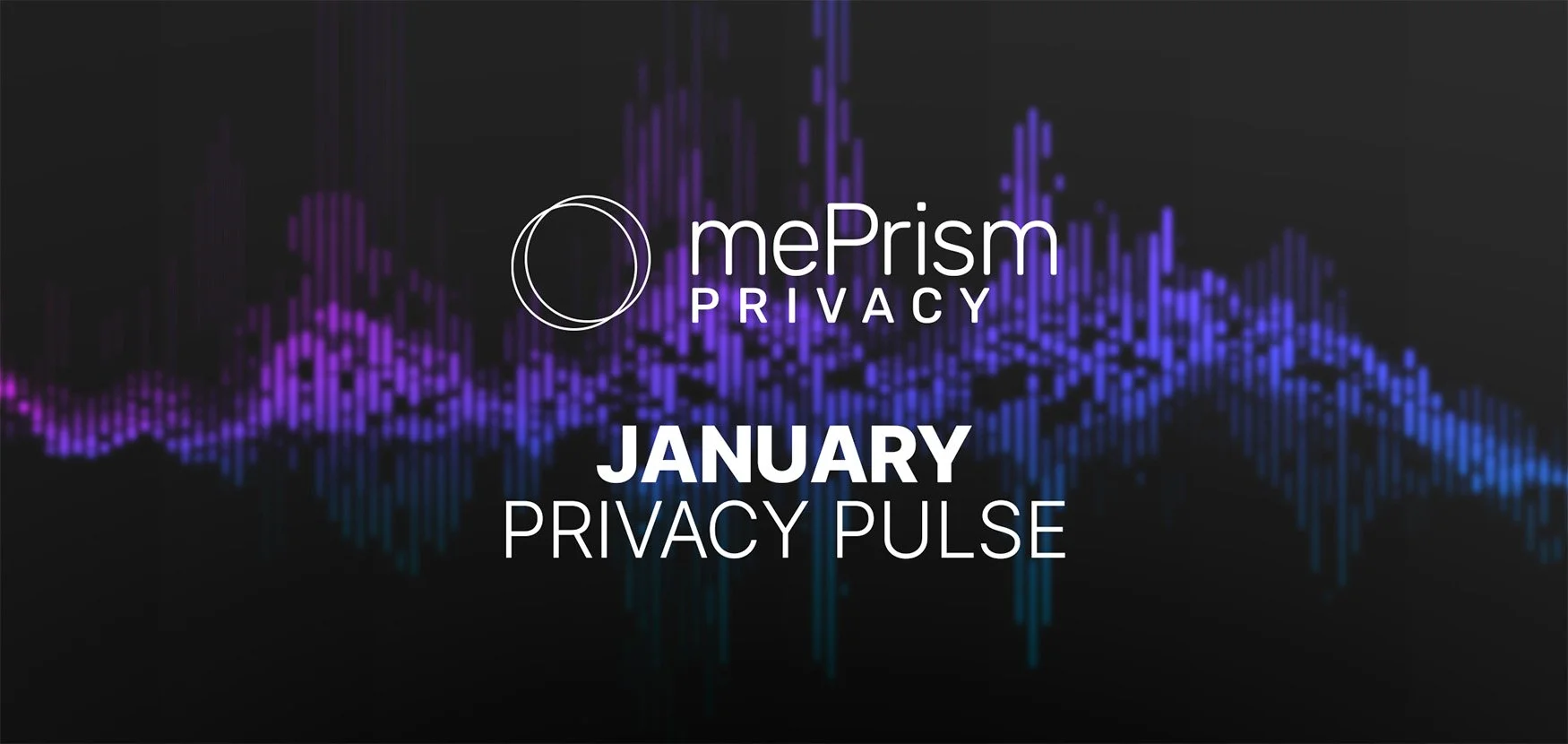 The Privacy Pulse: 2026 Epstein Files &amp; Your Data Safety