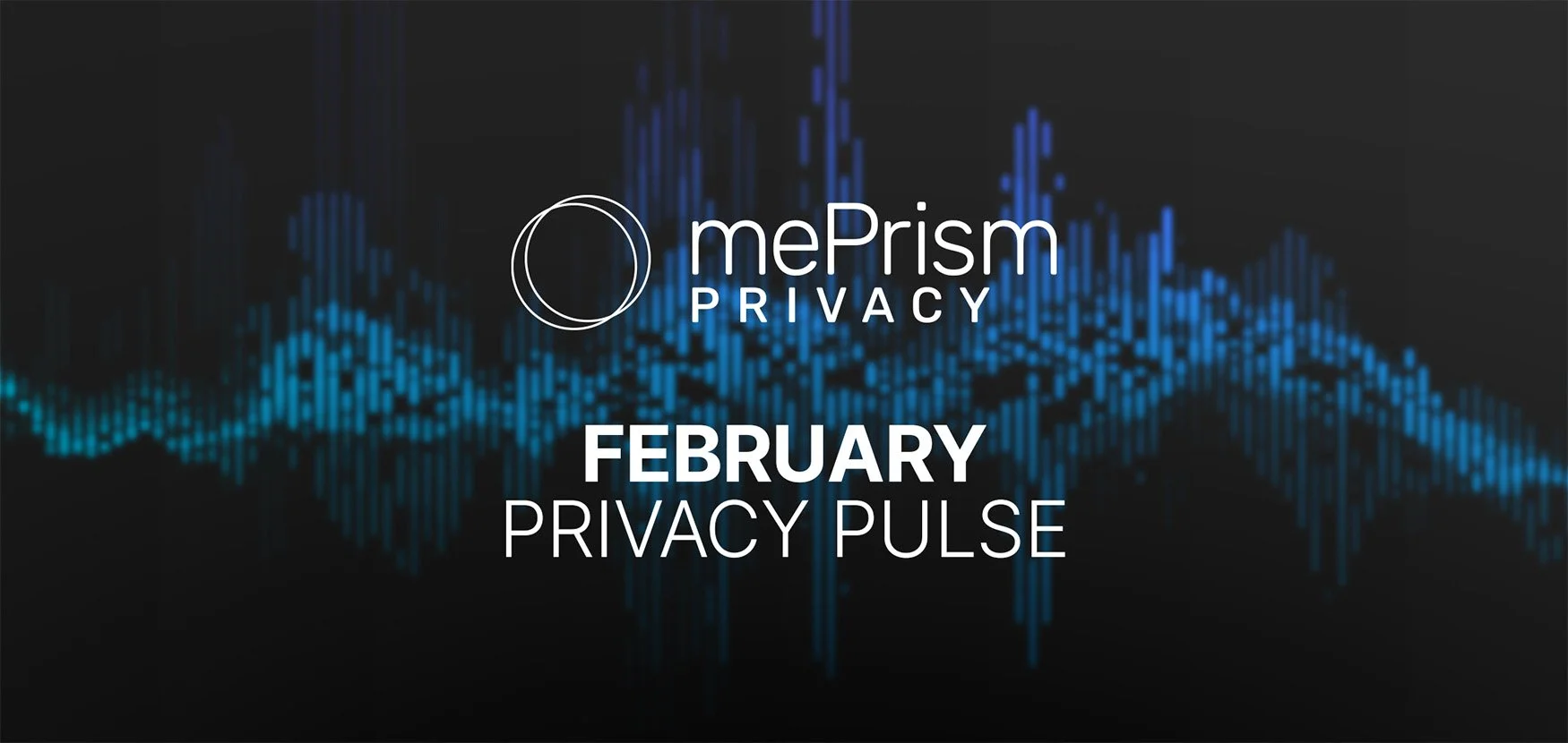 mePrism Privacy Pulse: The $20 Billion Identity Theft Crisis