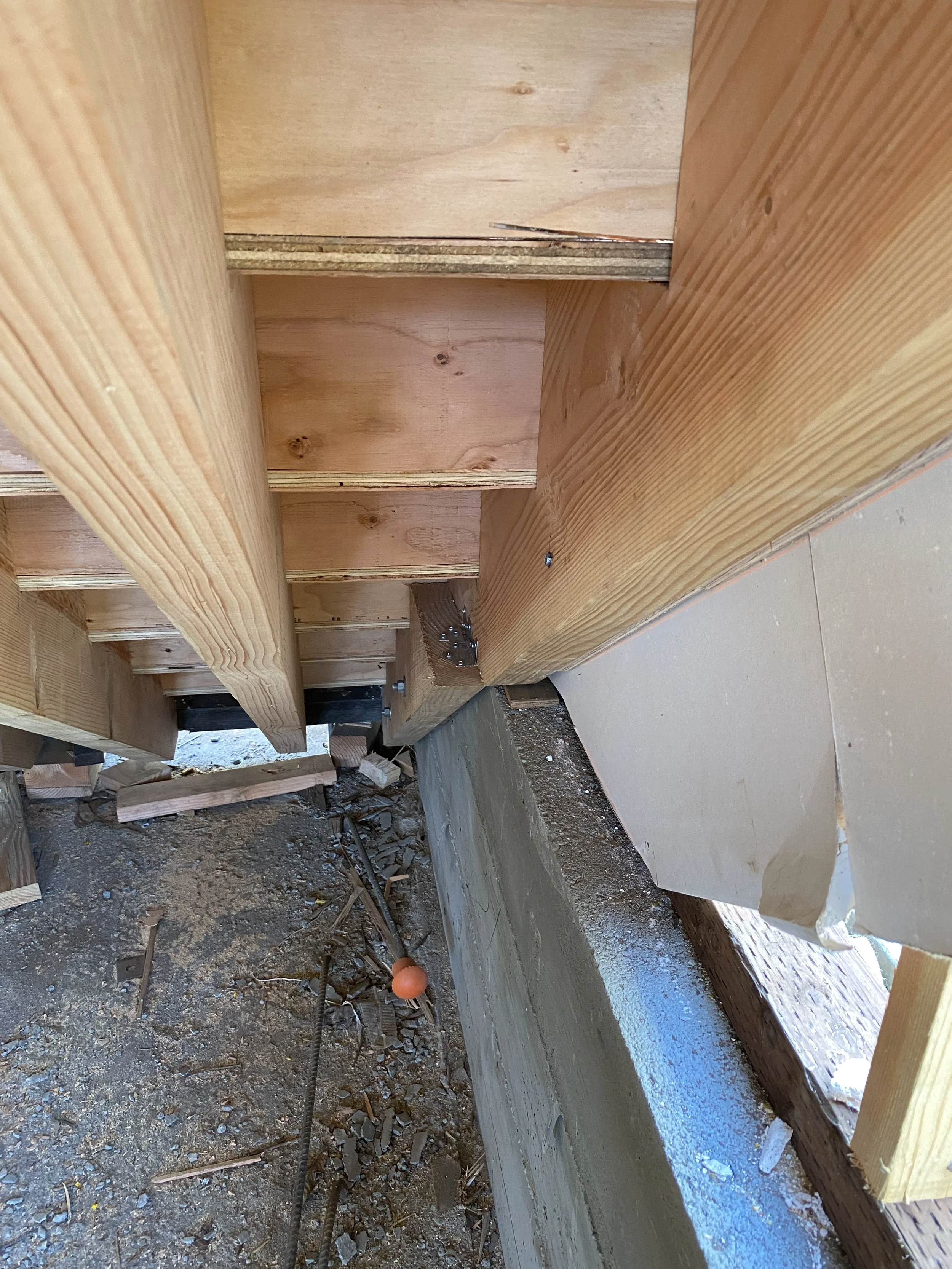 Detached ADU framing and subfloor edge detail under roof structure — San Francisco Bay Area general contractor