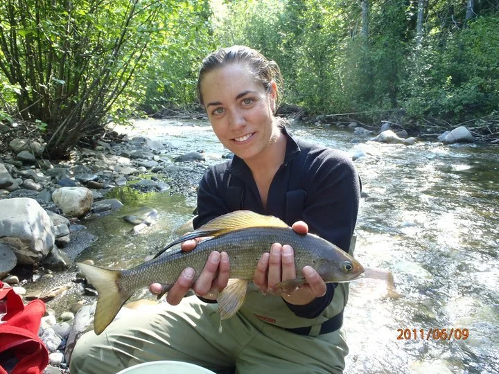 2011 Arctic Grayling, Muskwa Kechika BC