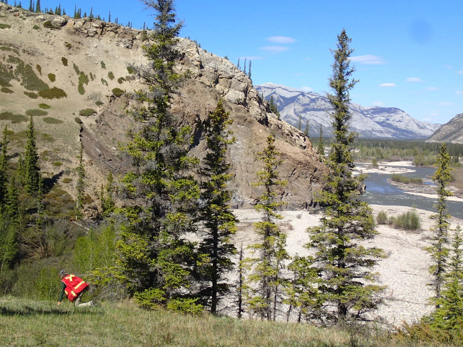 A person with a red backpack walking on a grassy slope near tall evergreen trees, with a mountain range, rocky cliffs, and a river in the background under a blue sky with a few clouds.