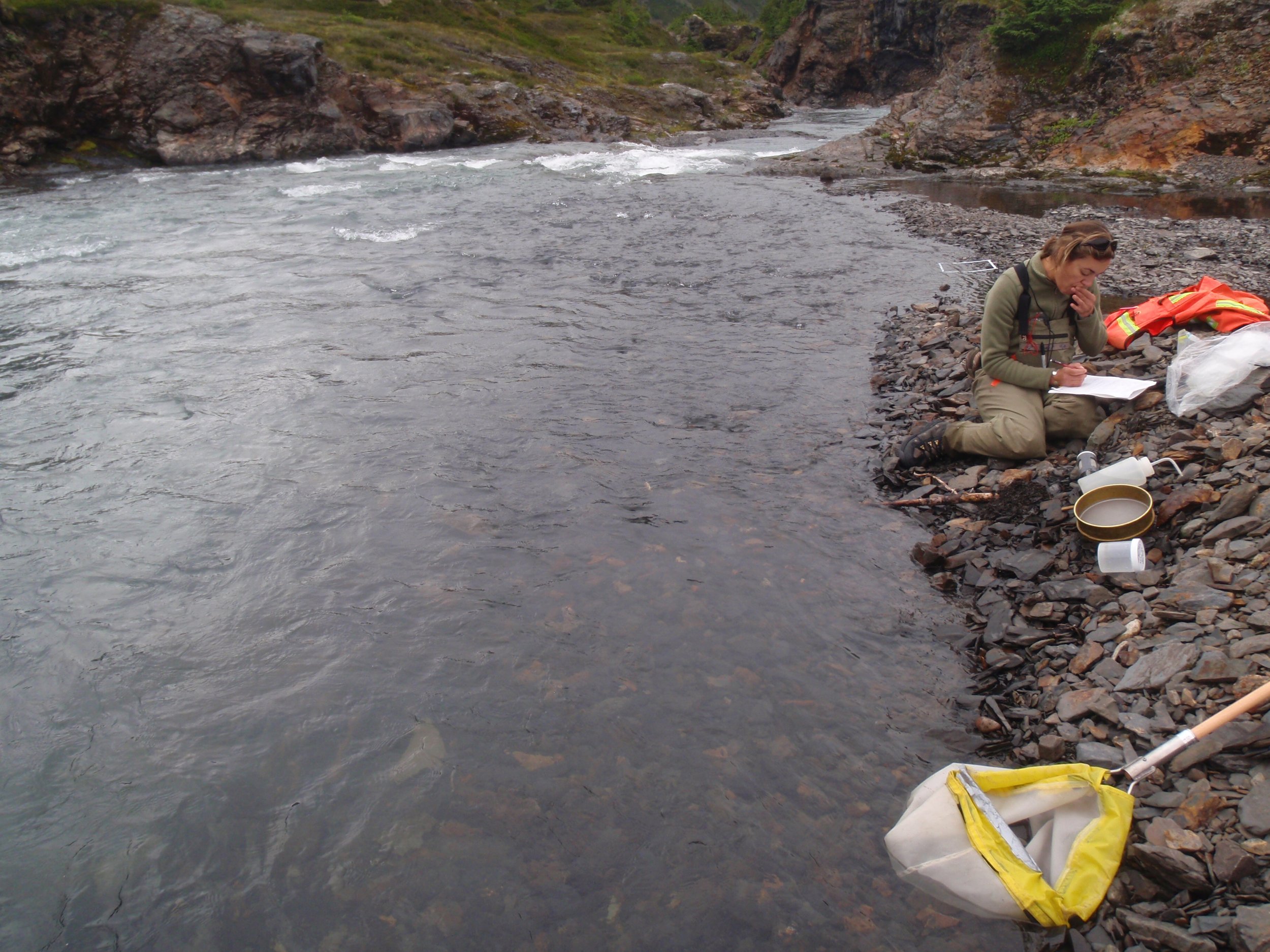 Field sampling in the Yukon