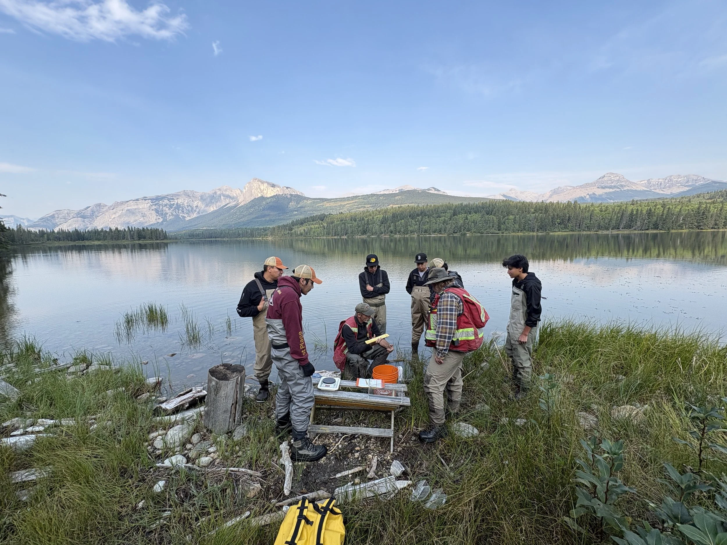 Field training with Cornice