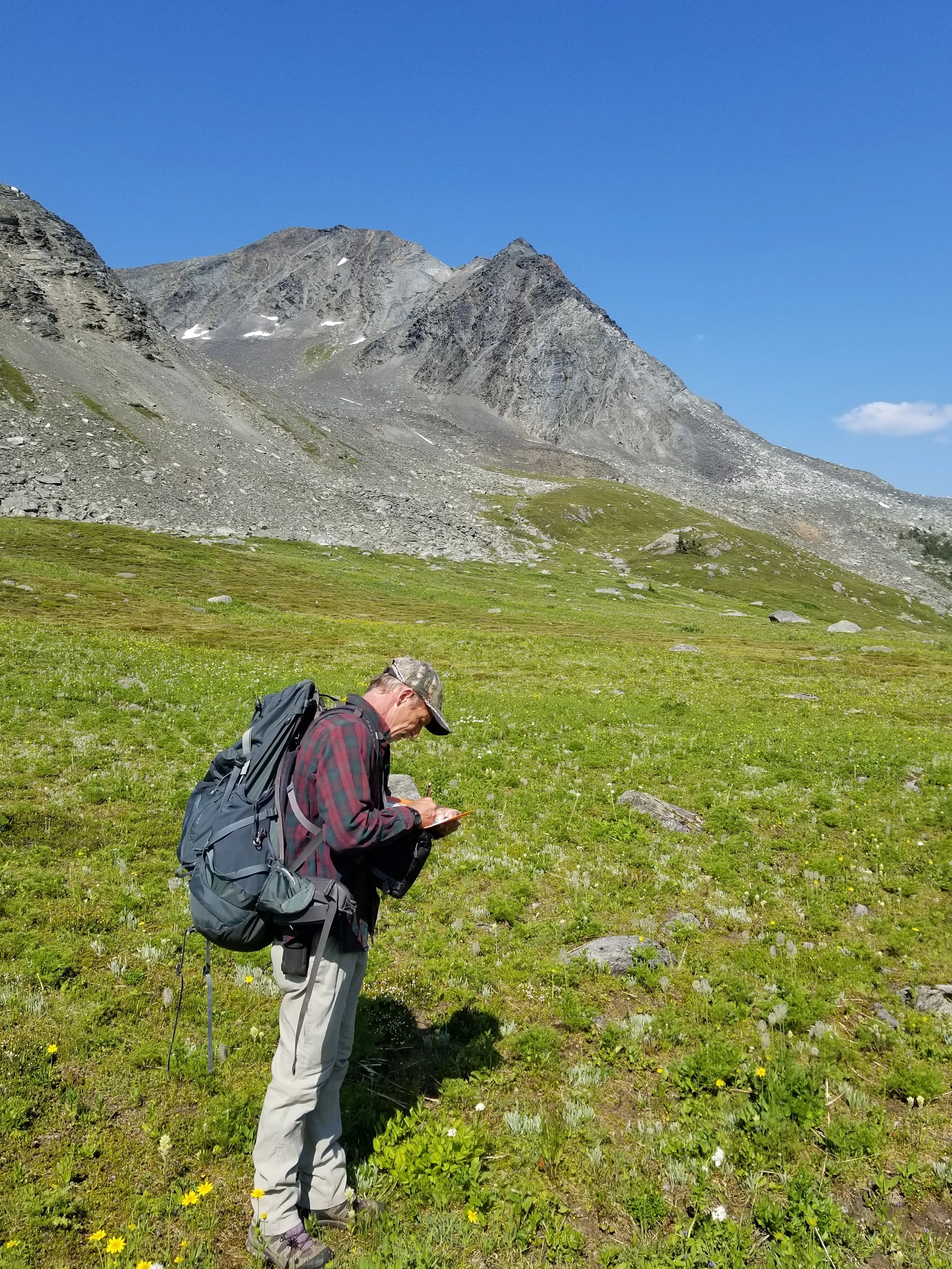Fraser Pass, BC