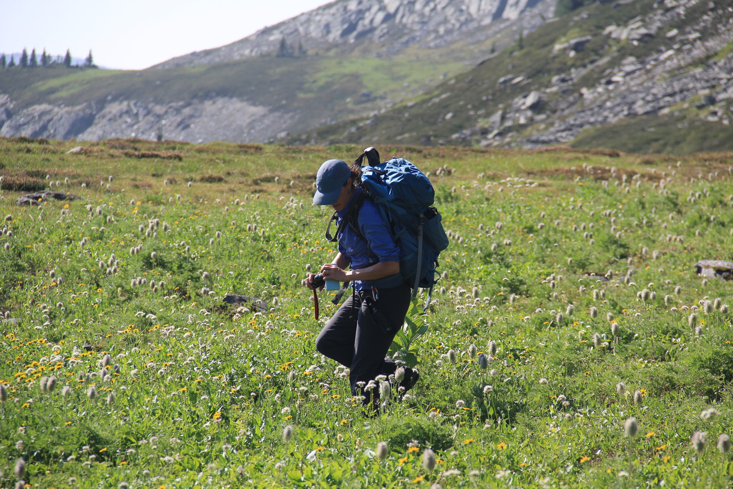 Remote BC fieldwork
