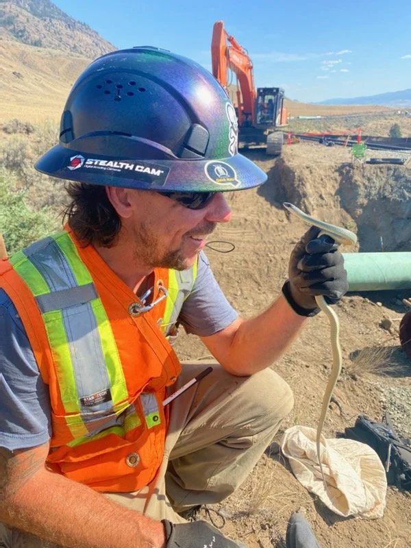 Construction worker in a hard hat and safety vest at an outdoor construction site, holding a snake near a pipe.