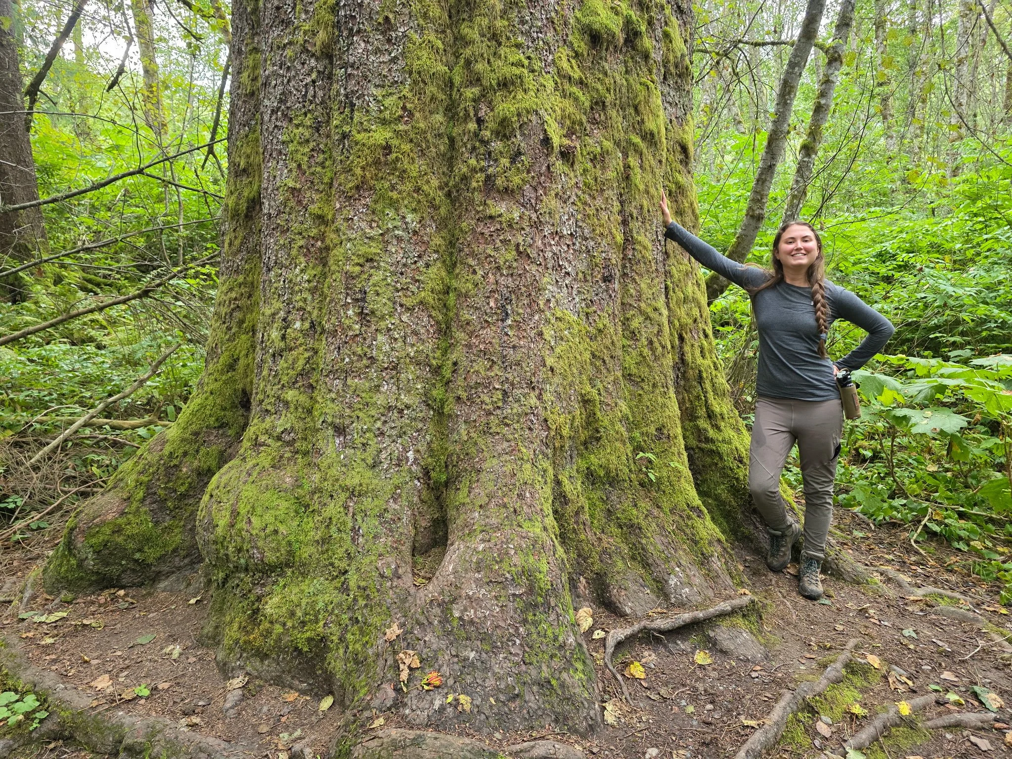 A woman in hiking gear standing next to a large moss-covered tree trunk in a lush green forest.