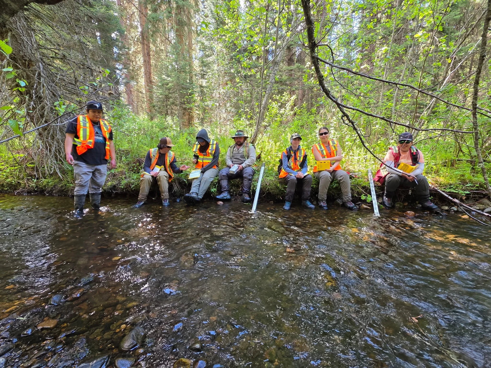 Environmental professionals building practical field capability