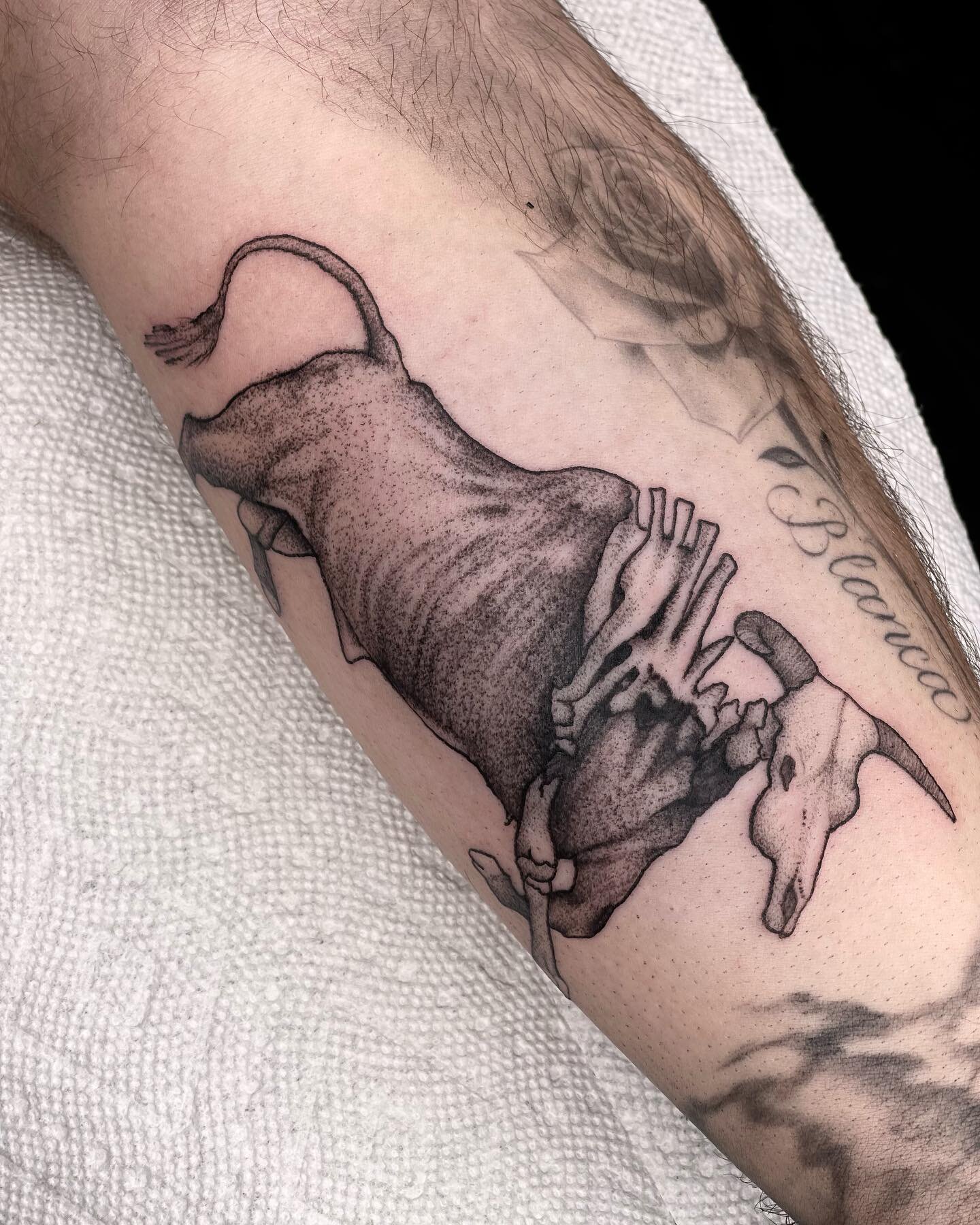 Bull/skeleton done by @shay_k_art 

&bull;
&bull;

#tattoo #tattooartist #phoenixtattooartist #phoenixtattooshop #arizonatattooartist #arizonatattooshop #lgbtartist #bulltattoo #stippletattoo #armtattoo