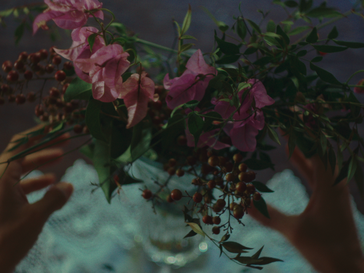 vlcsnap-2026-07-15-10h07m59s747.png