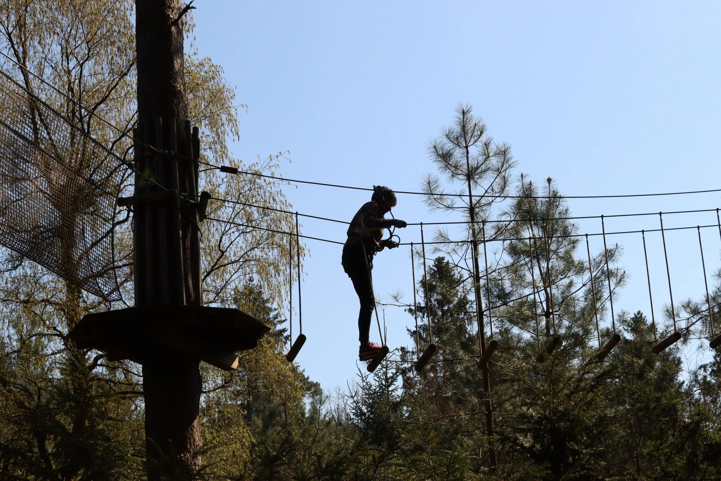 AA Tree top challlenge.JPG