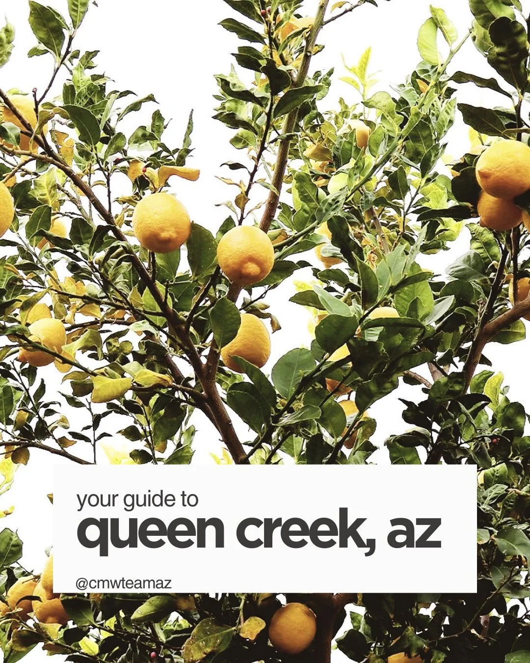 This is the part Zillow can&rsquo;t show you. 👀 

When people visit me in Queen Creek they expect&hellip; desert and houses. Instead it turns into coffee stops, farm walks, good food and places they can actually imagine making memories in.

Real est