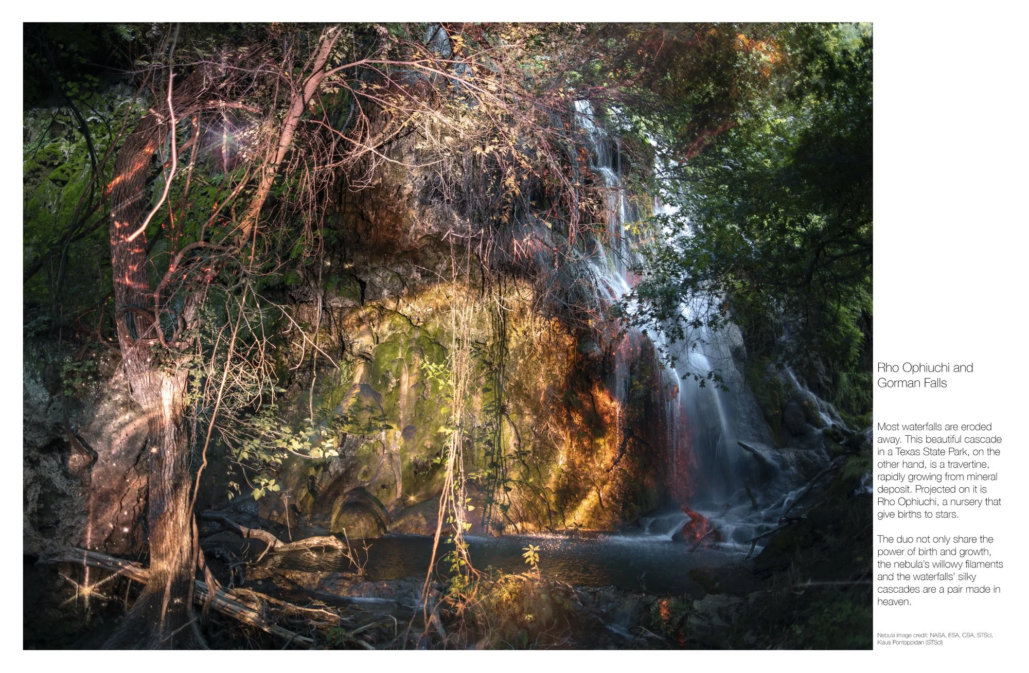 11__O6A2467-Enhanced-SR-1 copy.jpg