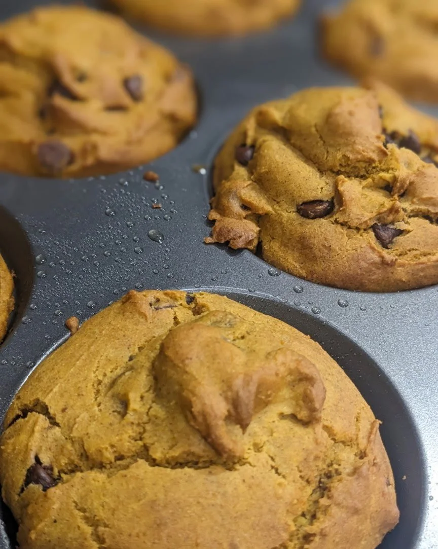 Pumpkin Chocolate Chip Muffin (G.F.)