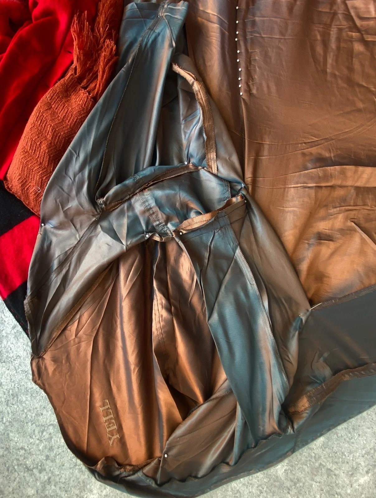 Amy Trachtenberg promo image.jpeg