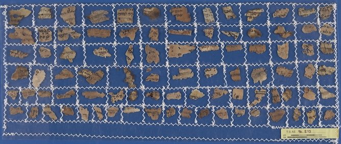 Jennifer promo image.jpeg