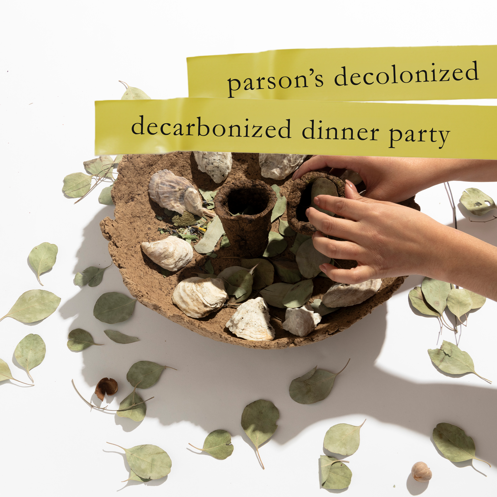 website decolonized.png