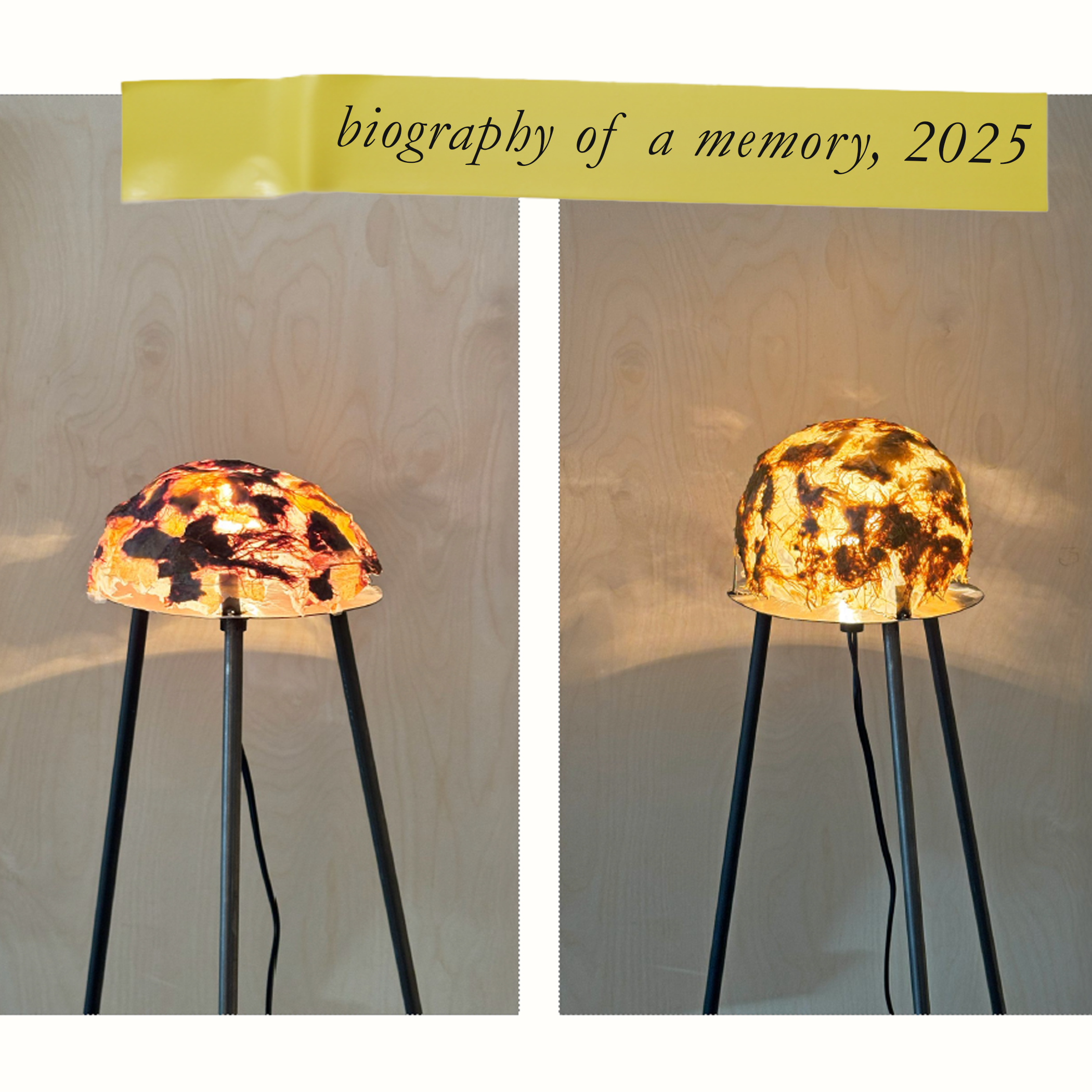 website gallery project icon_lamp.png