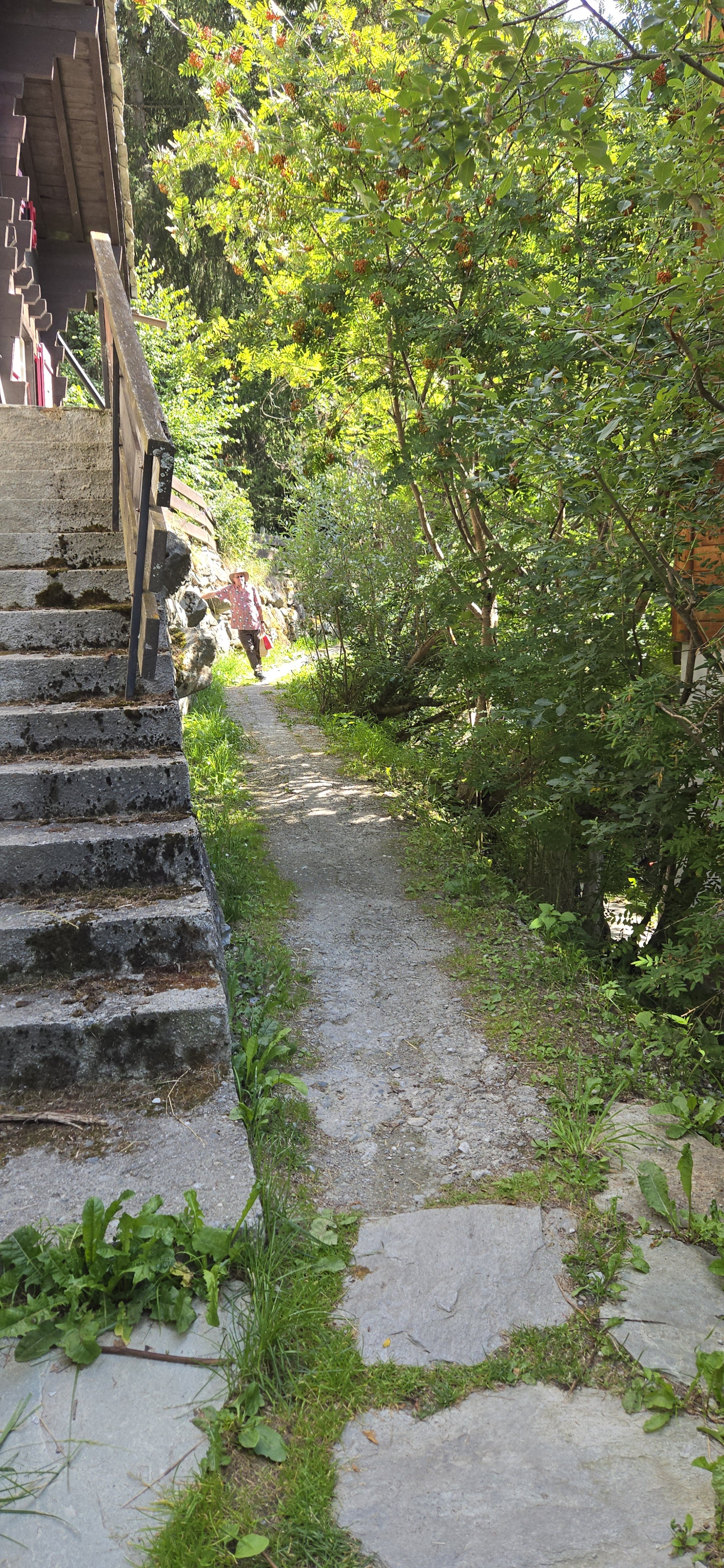 Whew! 99 steps done, now just path to the rental