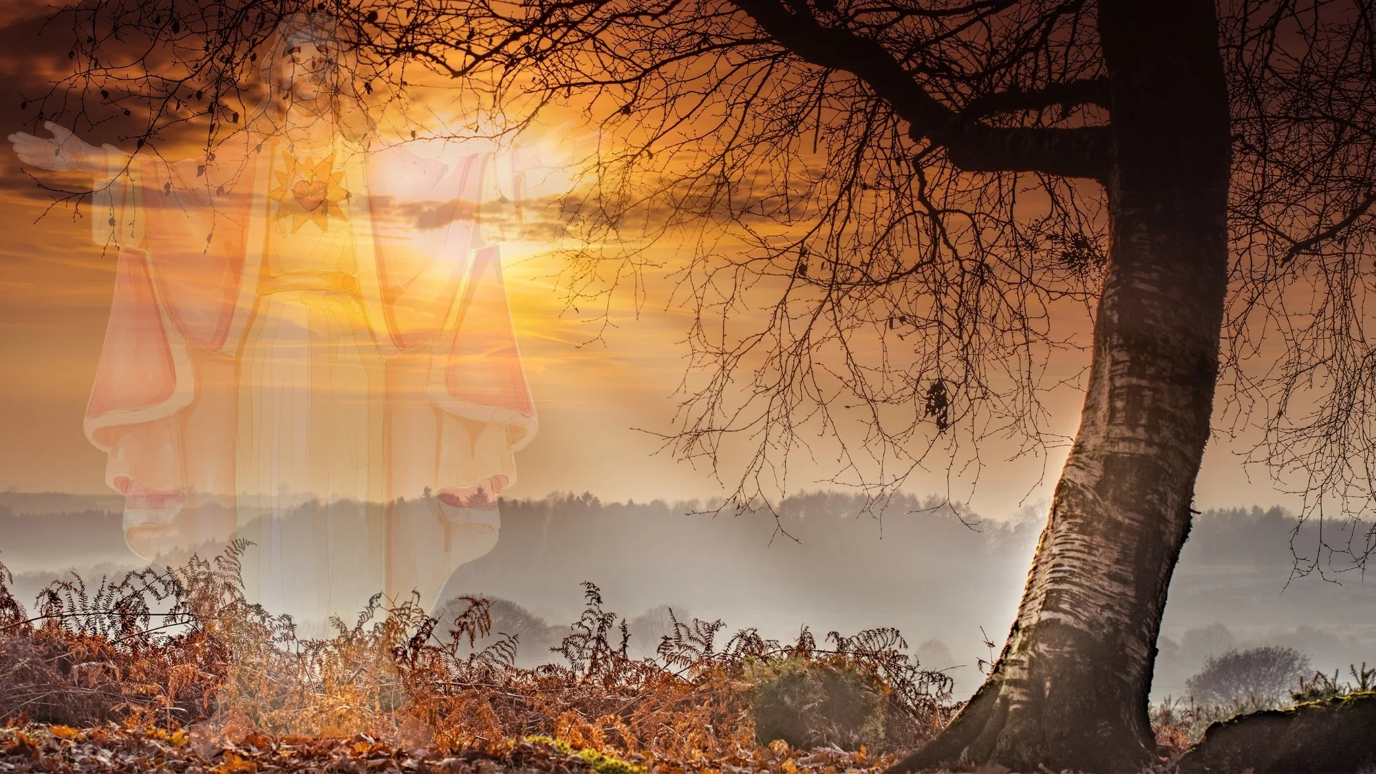 Dec 7 2025 Series: HIS | Sermon: His Love (Second Advent: PEACE)