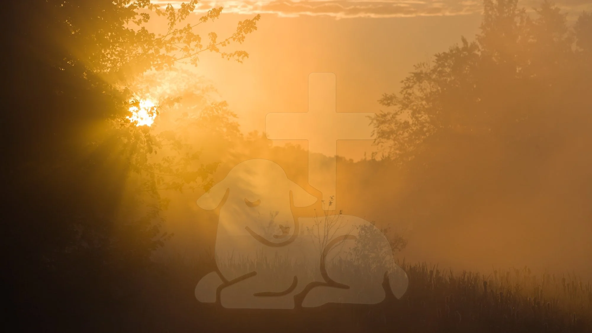 Series: HIS | Sermon: Receiving God's Love