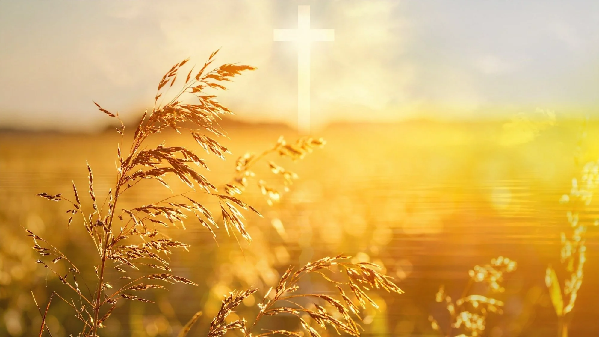 Sermon: Finding Peace