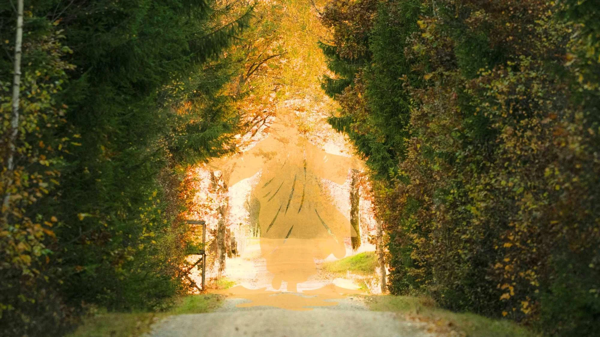 Jan 18 2026 | Sermon: Submitting To Spiritual Leadership