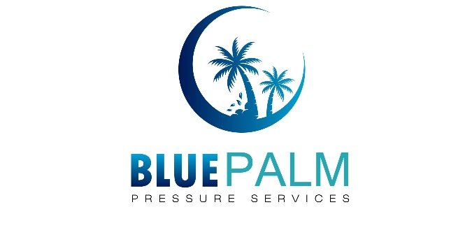bluepalmpressure.com