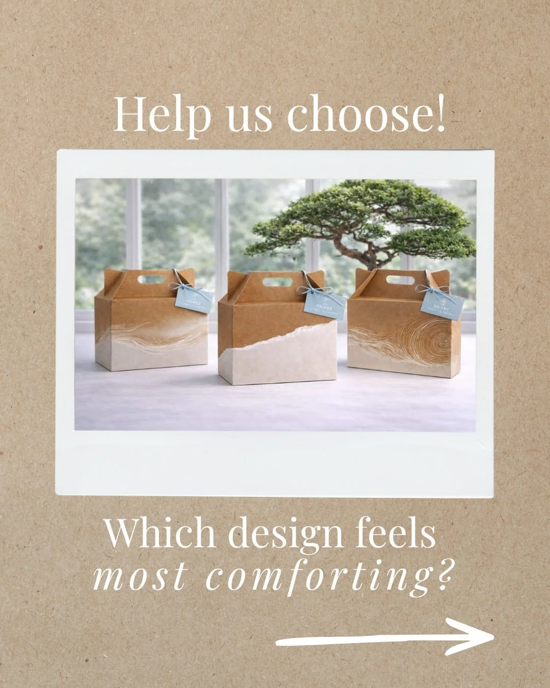 Okay, we need your eyes on this. 👀🌿

We&rsquo;re choosing our favourite memorial planting kit design, and we want you to vote.

Which one feels most &ldquo;AWAKE&rdquo; to you?
Comment your pick:
A) soft wave lines
B) torn paper edge
C) fingerprint