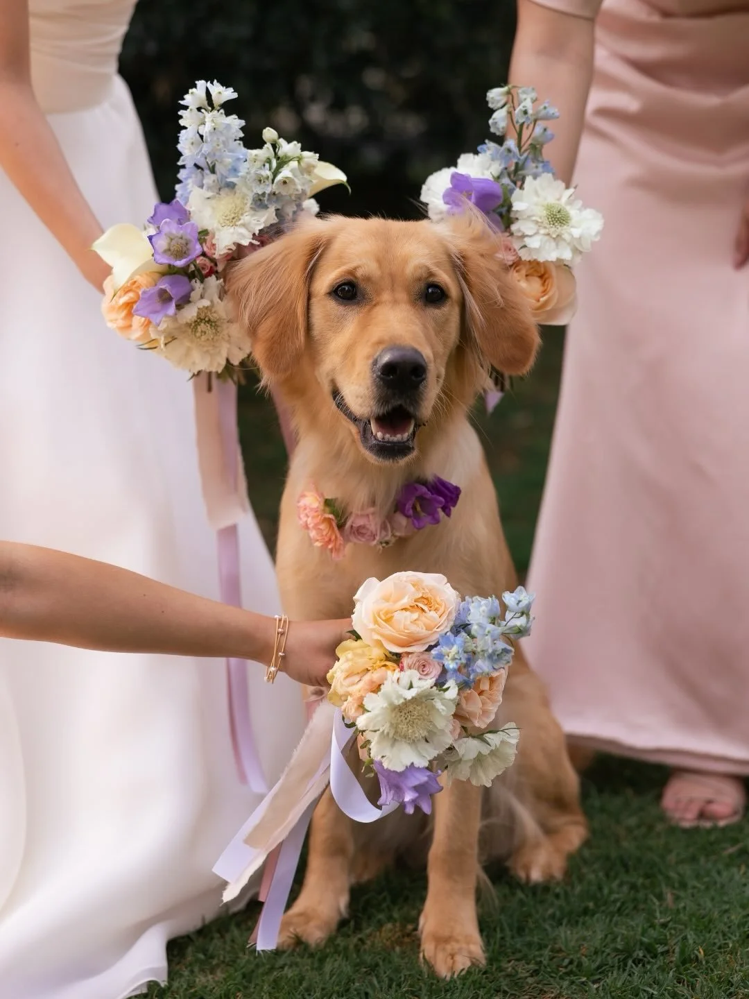 Details from Amy + Tony&rsquo;s day - we&rsquo;re in love with their beautiful dog Mei Mei 😍⁠
⁠
Photographer &amp; videographer @figtreepictures⁠
Venue @gabbinbar⁠
Celebrant @lovebirdscivilcelebrant⁠
Florist @riumfloraldesign⁠
Makeup @a_romua_⁠
Hair