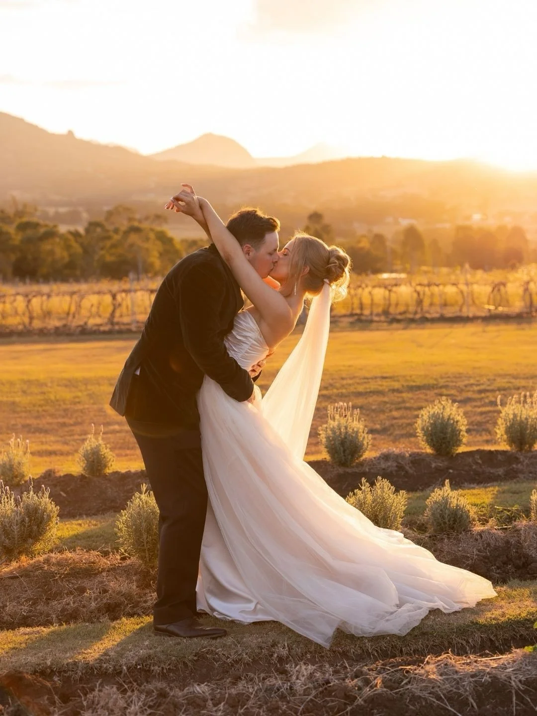Jorja + Adam in the lavender fields surrounding Kooroomba Weddings. A day to remember forever. ⁠
⁠
Photographer @figtreepictures⁠
Venue @kooroomba_weddings 
Celebrant @hitchedbyfabs 
Hair &amp; makeup @natalielucasbridal 
Cake @petalandpeachcakes⁠
⁠