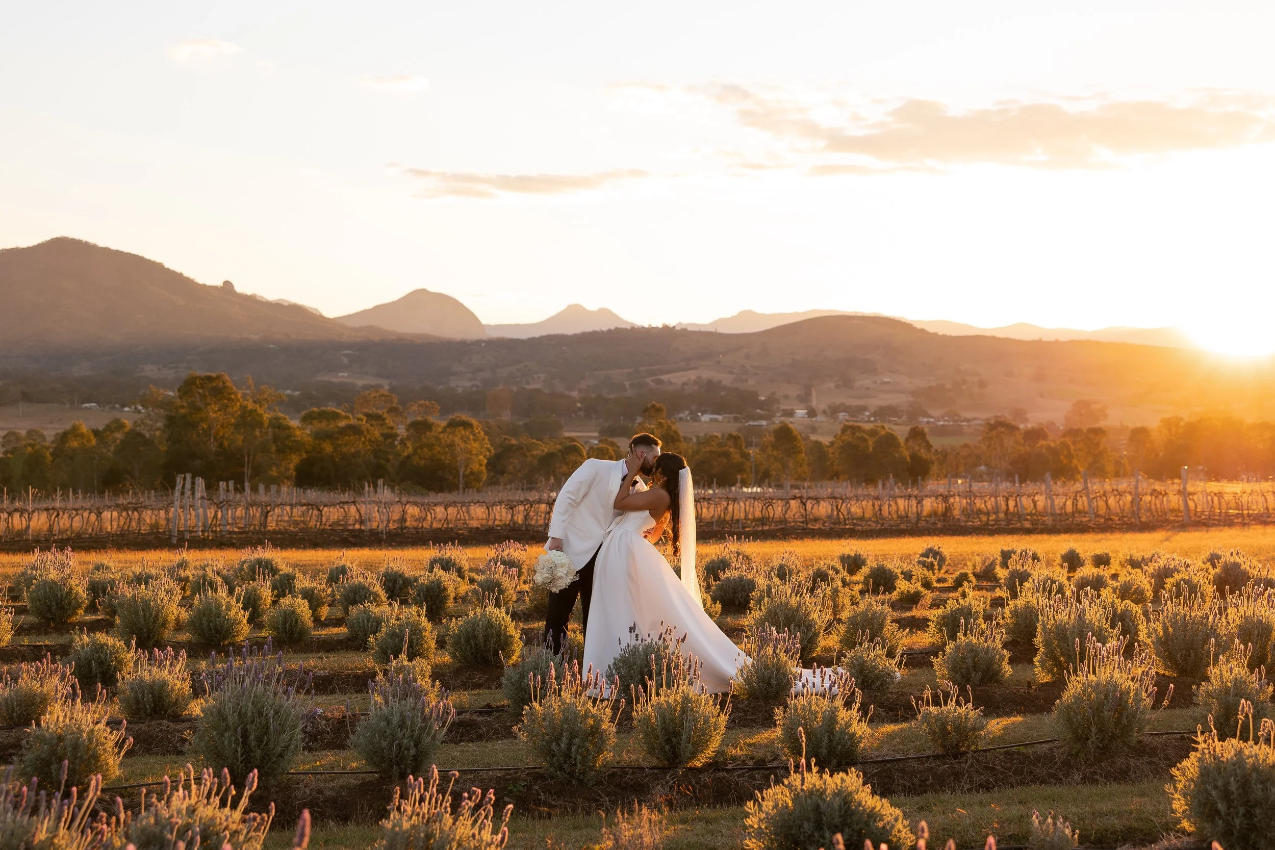 Sai + Daniel-10598.jpg