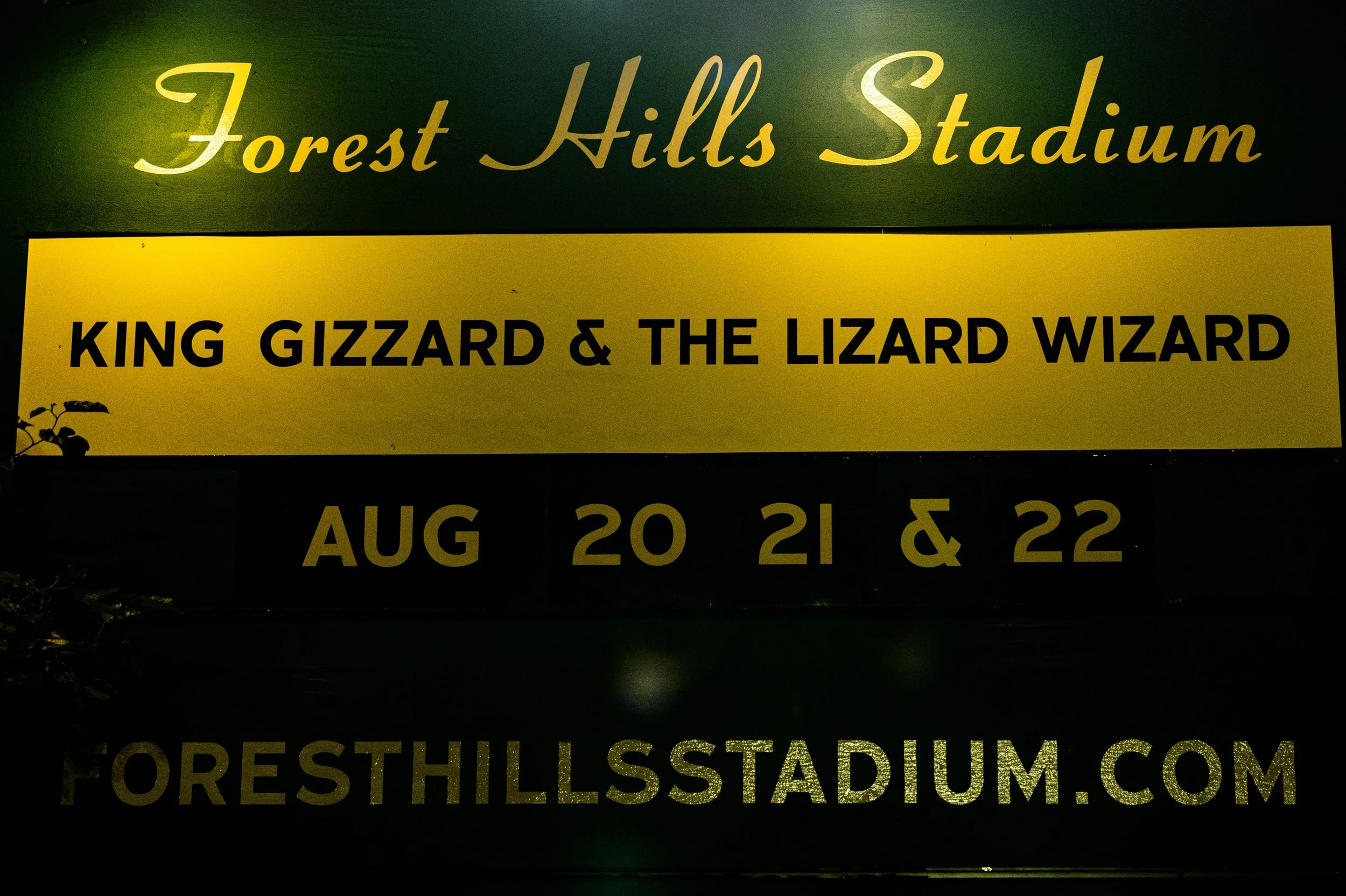 2026-08-22 King Gizzard Forest Hills - Ehud Lazin (35).jpg