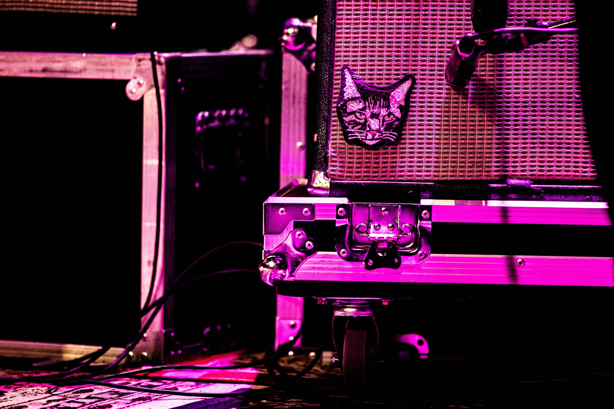 2026-06-10 Ryan Bingham Irving Plaza, NYC - Ehud Lazin (53).jpg