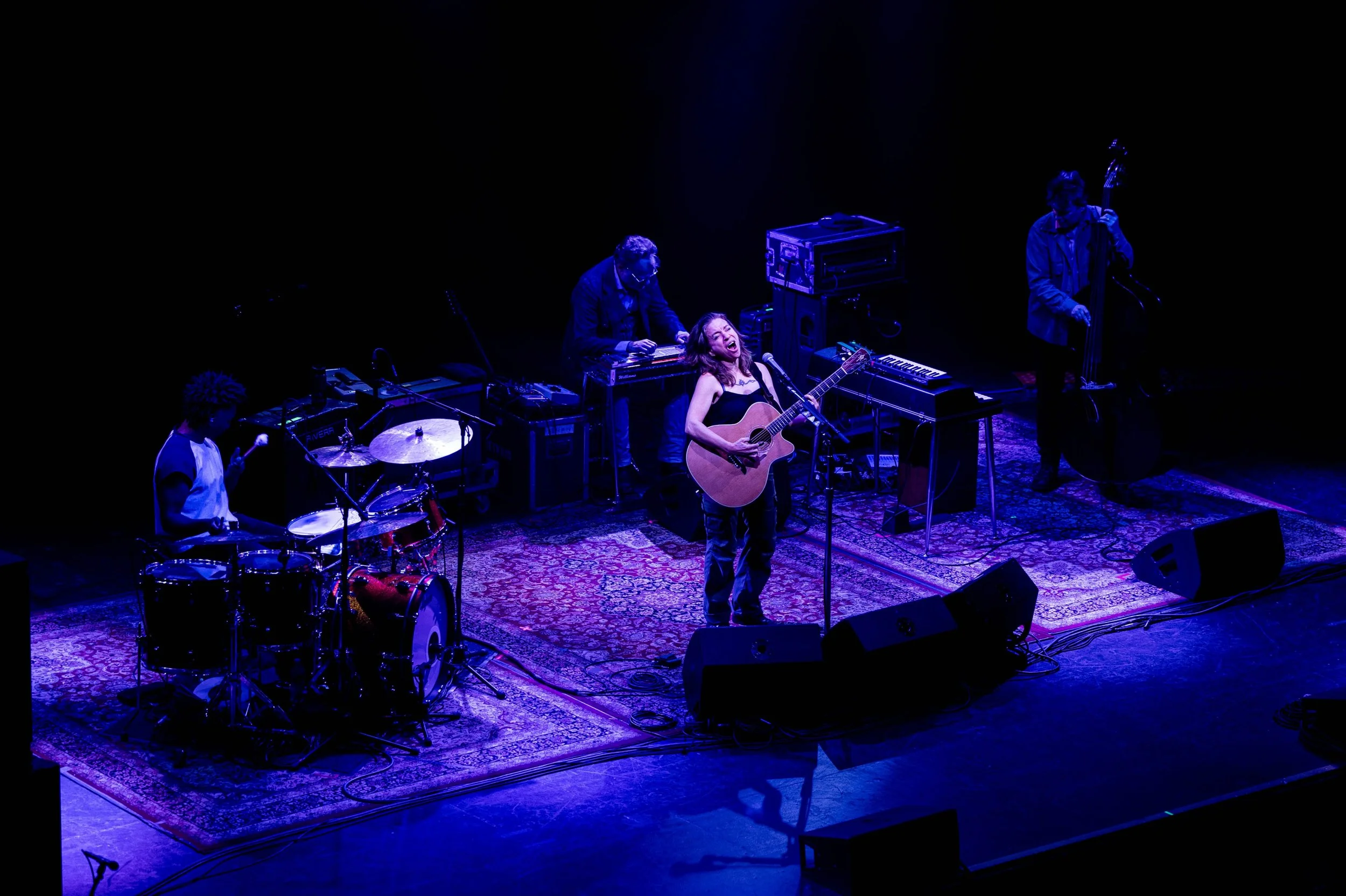 2026-05-10 Ani Difranco Capitol - Ehud Lazin (19).jpg